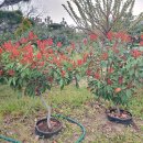 흥해시장 이미지