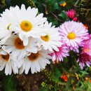 간촌공원 이미지