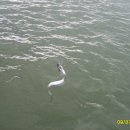 영암미소 이미지