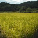 정수성농장 이미지