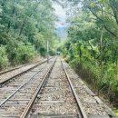 문경 철로자전거(진남역) | 경북 문경 가볼만한 곳 문경철로자전거진남역