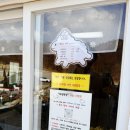 양떼목장 | 홍천 하양목장 아이와가볼만한곳 양떼목장 후기