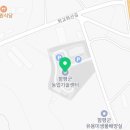 월야애호박