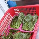 우리풍천장어 - 용산구 효창원로 109 | 우리풍천장어