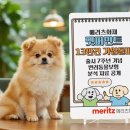 메리츠화재 이미지