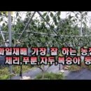 진산농장1 이미지