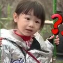 고산무궁화오토캠핑장 이미지