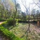 153코인노래연습장 이미지