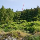 남해-309 이미지