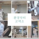 코덱소(KODEXO) | 벽에 핀 곰팡이제거살균소독 완벽하게 하는 방법