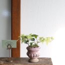 아이비환경(주) 이미지