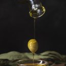 올리브 펫 이미지