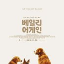 번어게인 이미지