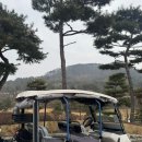 대영힐스CC | [라운딩]⛳ 대영힐스CC 겨울 라운딩 후기｜한적하고 공기 좋은 힐링 라운드
