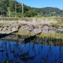 추동마을입구 이미지