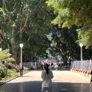 나무그늘파크(park) | 시드니하이드파크(Hyde Park) 완벽 가이드, 도심 속 오아시스 산책!