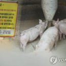 한은농장 이미지