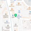 강남 요미독앤캣 강아지 분양 고양이 분양 이미지