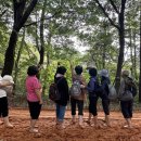 김해시치매안심센터 이미지