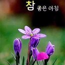 행복한 하루 이미지