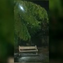 승문전자 네이버블로그
