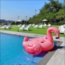 Most 417(모스트417) 이미지