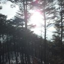 별빛동화 펜션 이미지