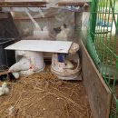 자연부화장 이미지