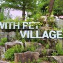 자연속의 펫 이미지