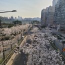 우디안시티 공인중개사사무소 이미지