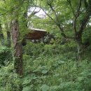 백운동 정원 이미지