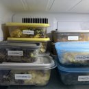 용네식당 | 메이드유강남 다이어트약 2차 처방 후기 한달 더 변화는