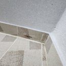 가락마을 908동 이미지