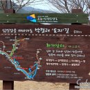 글로벌장터