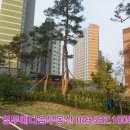 천년나무세탁소