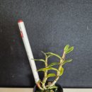 지일농장 이미지