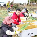 금등리경로당 이미지