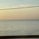 베스트루이스 해밀턴호텔 오션테라스 이미지