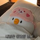W8. 상견례 : 본작 떡 / 마곡 모담 다이닝 / the 화사 메이크업