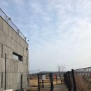 쿠치아 | 내돈내산) 4번째 서산애견동반카페 쿠치아