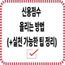 신용점수 이렇게 올리세요! (2025년 기준 실천 가능한 방법 정리) 이미지