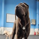 견학생스쿨 이미지