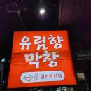 유림향 이미지