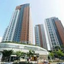 강남-275 이미지