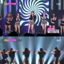 꼬리살랑 이미지