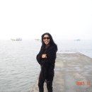 낙지가와 이미지