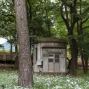 삼문송림길 이미지