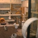 우리동네 펫 이미지