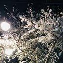 해브커피로스터즈 이미지