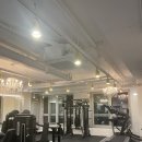 테리스짐 이미지